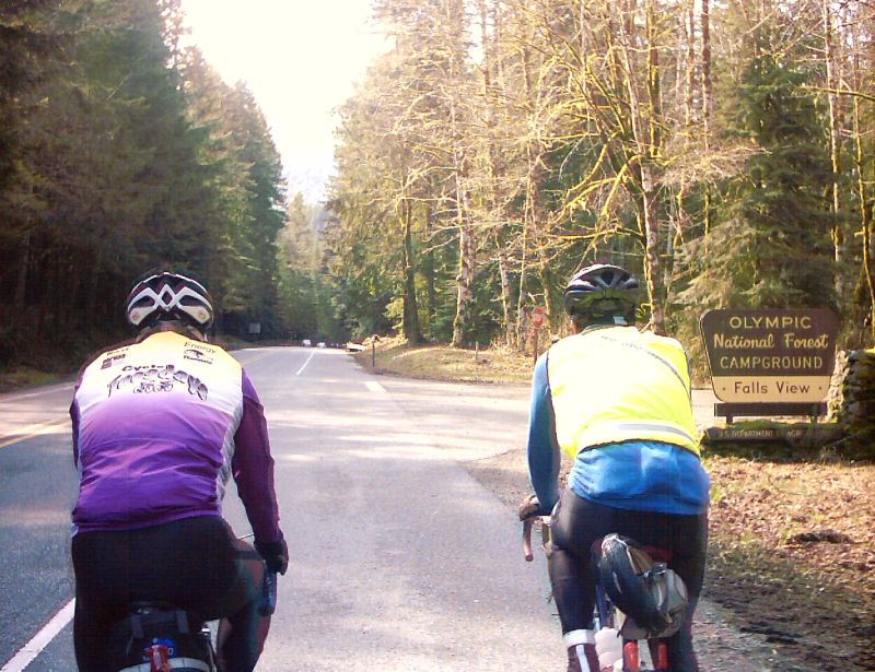 Olympic National Forest