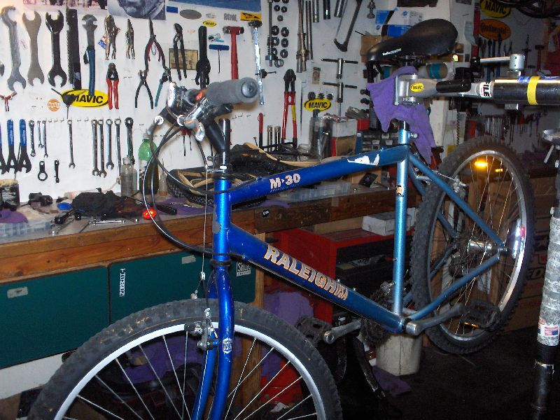 The Raleigh prior to transformation