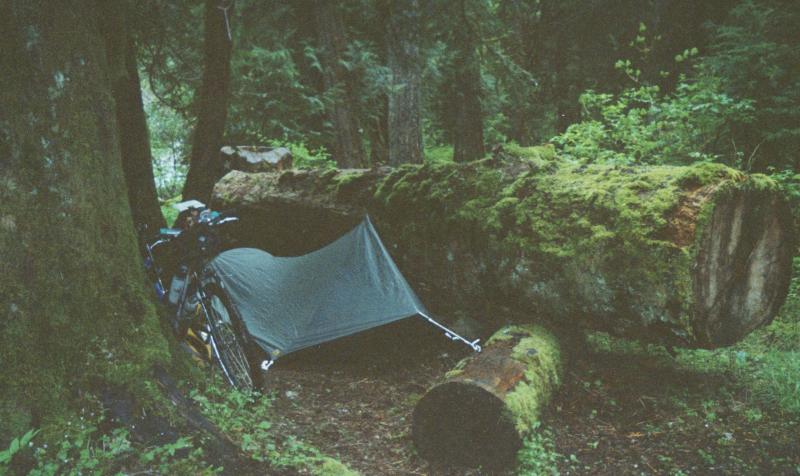 Camped by logs