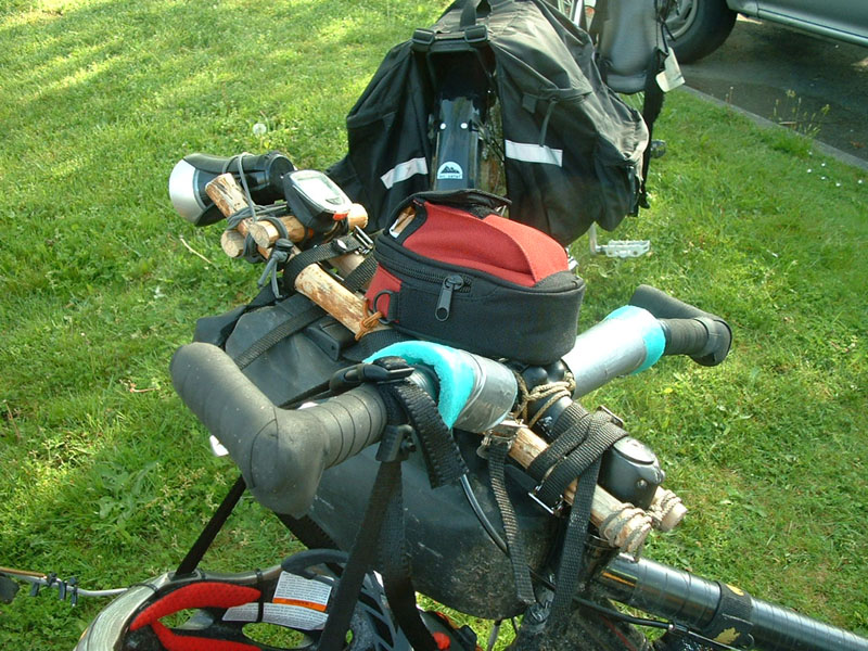 Nature's own carbon fiber