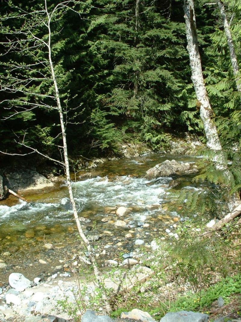 Denny Creek