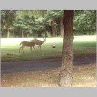 IMAGE0205.JPG