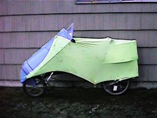 The Fast Pig (side view)